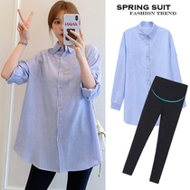  Maternity striped shirt top Spring and Autumn fashion mid-length loose plus size long-sleeved cotton shirt dress