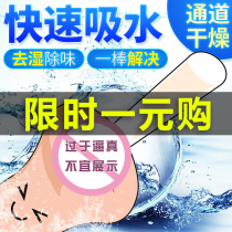 Diatomaceous Earth moisture absorption Rod aircraft Cup male famous oil lubricating oil diatom mud heating rod water absorption dehumidification drying gift