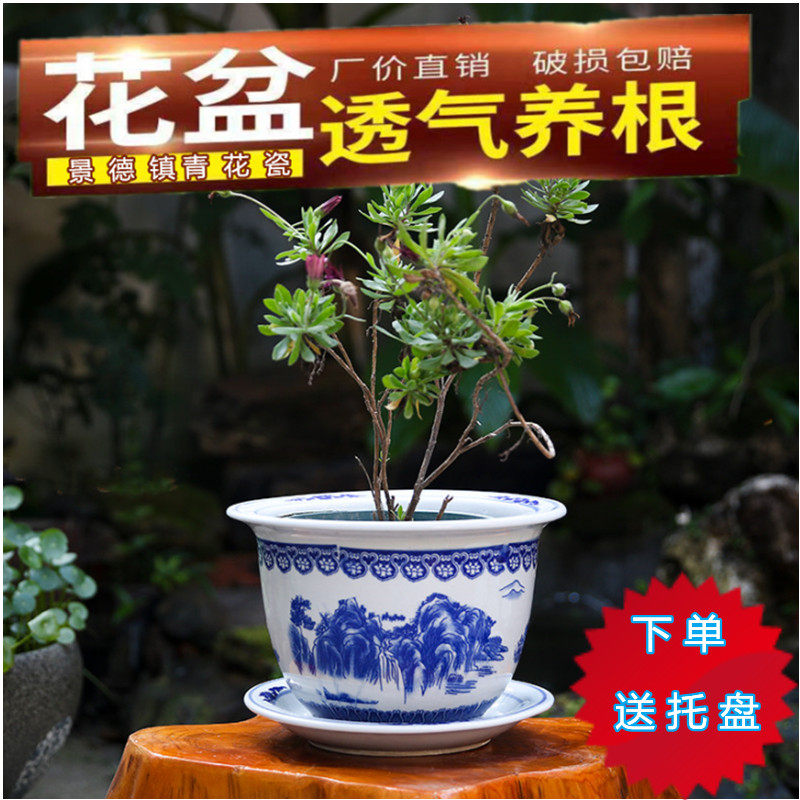 景德镇手作青釉花盆-景德镇手作青釉花盆促销价格、景德镇手作青釉花盆