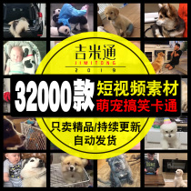 Funny joke dubbing material Cute pet cartoon popular short video selection HD no watermark material package compilation