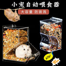 Hamster Autofeeder Small Bird Pigeon Food Bowl Uglans Squirrel Dutch Pig Eating Basin Pet Parrot Feeders