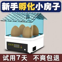 Incubator Incubator Smart Small Water Bed Incubator Mini Home Type Fully Automatic Little Chicken Duck Goose Incubator