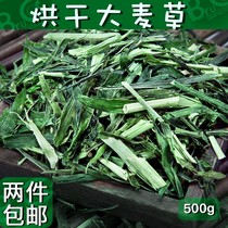 2021 New barley section 500g rabbit ChinChin guinea pig pig hamster hay feed grain