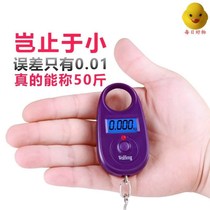 Came fish hand-held portable electronic scale hook called portable small special shopping precision household hand-held