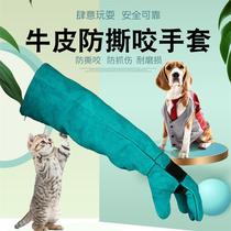 Antibite gloves to tear and cat-proof cat-scratched nail hamster Pet anti-grab bite thickening and long