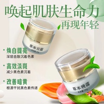 Whitening Red Whitening Freckle Set Advanced Beauty Day Cream Night Cream Freckle Cream Morning and Night Cream 2-in-1