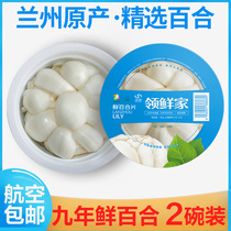 (Shunfeng) Lanzhou Lily net tablets fresh lily edible sweet Lily 105g bowl nine-year-old Lily