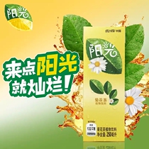 Coca-Cola produced sunshine chrysanthemum tea 250mlX22 cartons of herbal tea plant drinks 