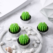 Net celebrity creative gentle scented candle Romantic mood succulents cactus Wedding birthday gift for girls