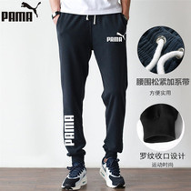 Spring Summer New Pure Cotton Sports Pants Men Casual Pants Thin loose Big code Close-up Knit Bunch Foot Basketball Wee Pants