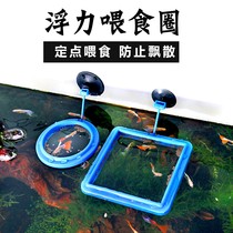  Fish tank feeding ring Fixed-point feeder Feeding ring fish Guppy feeder Buoyancy feeding tube Small shrimp feeder