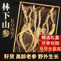Ginseng Changbai Mountain Wild mountain ginseng Northeast Forest Ginseng 20 years dry goods whole branches Bubble wine medicinal materials Mountain ginseng gift box