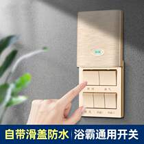 Delixi Bath Bath Special Gold Switch Five Open Heating Heating and Exhaust Bathroom Universal Five-in-One Toilet