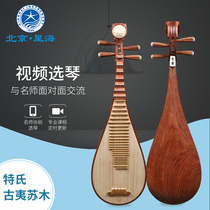 Xinghai Pipa musical instrument Special ancient Yi Sumu log polished wooden shaft exam professional pipa piano video live