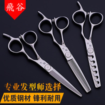 Professional hair stylist haircut scissors Flat tooth scissors Incognito scissors Hair cut bangs five-piece set