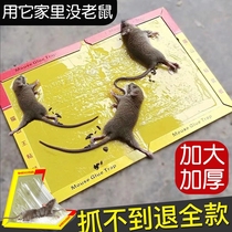 Net Red Rat Stickler Stickler Super Stick Stickler Super adhesive Stickler Gum Super value Domestic mousetrap Kstar DD