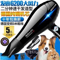 Pet blower dog large dog small cat blowing home with dog hair dryer with dog hair