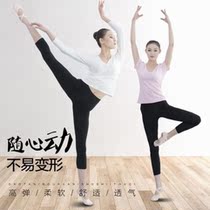 Practice clothes female dance clothes modern dance clothes body training clothes ballet set Modal Latin dance autumn and winter