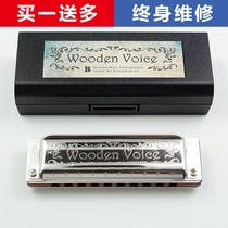 Wood Voice WV East Africa small leaf red sandalwood piano performance Blues Blues ten hole harmonica