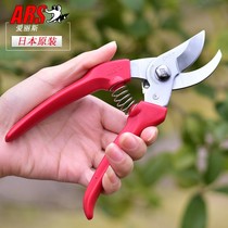 Japanese original ars scissors pruning shears flower scissors gardening flowers and tree branches Pruning Fruit tree pruning shears