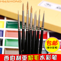 South Korea imported hwahong Huahong mink hair watercolor painting pen Siberian wolf brush very fine painting special brush 610 watercolor hook line pen comic hand-painted special sketching brush