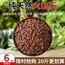 20kg natural volcanic stone light breathable meat pavement with soil orchid particles soil aqua volcanic rock