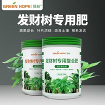 Special Fertilizer for Fortune Tree Fertilizer Indoor Compound Fertilizer Household Yellow Leaf Nutrient Solution Lucky Tree Happy Tree Money Tree