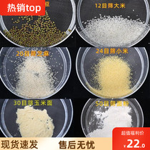 Stainless steel sieve round leak screen large filter sieve rice worm through the screen flour plug sieve household screen basket