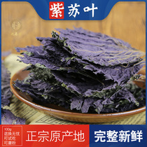 Perilla leaf dried perilla leaf traditional Chinese medicine 100 grams soaking feet edible perilla leaf powder tea leaf Chinese herbal medicine