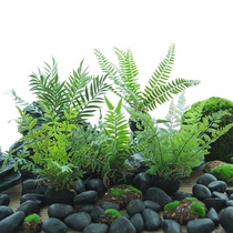 Simulated ferns small potted plants Handmade false jujue trees green plants bonsai forest landscape desktop decoration small potted plants