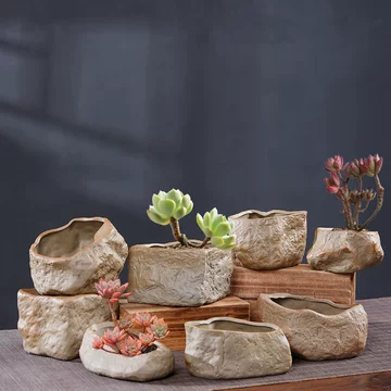 菖蒲小盆-菖蒲小盆促销价格、菖蒲小盆品牌- 淘宝