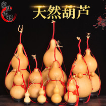 Natural big gourd decoration Feng Shui true gourd pendant Living room entrance gourd pendant Wen play small gourd pendant