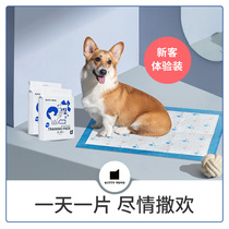 KittyYoyo Dog urine cushion thicks deodorizing small blue frame diaper urine non-wet pet (portable)