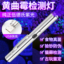 Aflatoxin detection pen lamp charging ultraviolet ray mycotoxin purple lamp 365 fluorescent flashlight