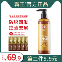  Overlord Ginger Shampoo Shampoo Anti-dandruff anti-itching oil control anti-peeling shampoo refreshing and long-lasting for men and women