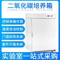 Shanghai Yiheng BPN-40RHP CRH carbon dioxide incubator CO2 incubator Cell biological constant temperature culture