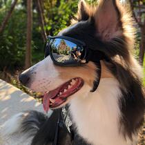 Pet glasses sunglasses dog sunglasses windproof Corgi Dou Teddy model photo props dog goggles