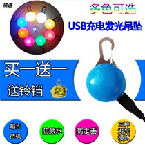 USB rechargeable dog luminous pendant anti-lost dog light Teddy supplies night pet light led night light walking dog light