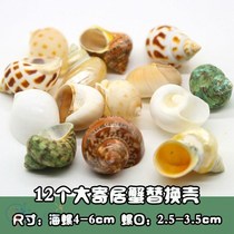 Hermit crab replacement shell diy ornamental fish tank bottom interior paving bottom mountain stone landscaping ornaments fan shell scrolls