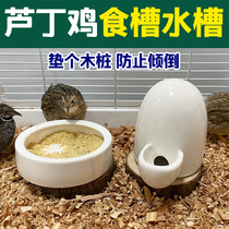 Rutin Chicken Feeder Quail Groove Pot Ceramic Weights Anti-turning Water Tank Juvenile Chicken Automatic Drinking Water Device