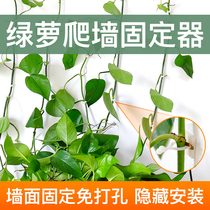 Green dill green plant climbing wall fixing artifact incognito household buckle Climbing indoor vine plant wall hook fixing clip