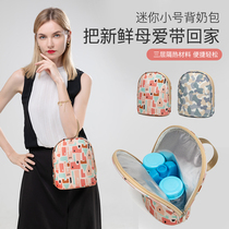 Back milk bag Breast Milk Insulated Bag Equipped for refrigeration to work portable Mini small Number of bottle sleeves Blue Ice Milk Ice Packs