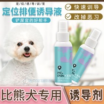 More than a bear special dog-inducing agent Toilet Lotion for urine Urinals Defecation of Pet Pet Pet Toilet Poo on the toilet