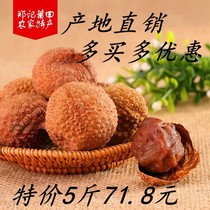 ⭕Putian farmhouse specialty new products dried lychee skin thin nuclear small meat thick 500g non-smoked sulfur Fujian Litchi