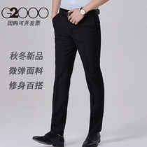 G2000 trousers men's autumn and winter thick straight slim professional business black non-iron casual suit trousers