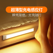 led charging human body sensor light with wireless wardrobe shoe cabinet wine cabinet corrugated light bar wiring-free cat eye light