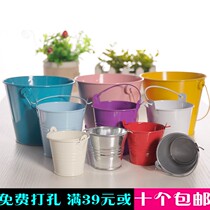 Iron Sheet Small Bucket Flower flower Flower Bucket Multi-Meat Flower Pot Colored Drawing Bucket 100 Hitch Mini Candy Color Small Iron Bucket