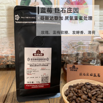 Blueberry Boulder Manor Costa Rica Anaerobic Heavy Black Honey Moderately Roasted Fine Coffee Bean 100g