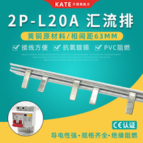2p leakage 20A electrical bus bar brass DZ47 empty open connection row 63mm pitch circuit breaker wiring bar
