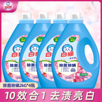 White cat phosphorus-free sterilization and mite removal laundry detergent 10-effect Machine hand washing family combination promotion package 16kg